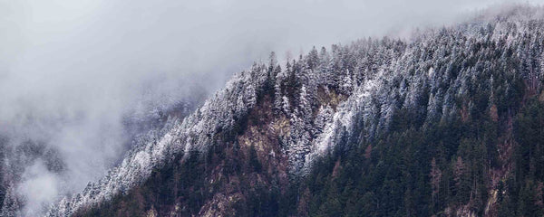 A Journey Through The Elements